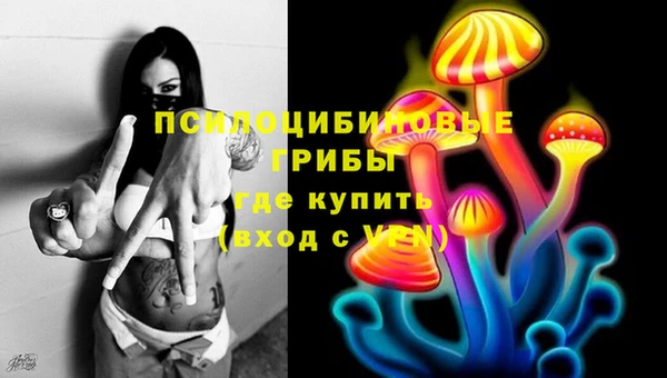 молекула духа Рославль