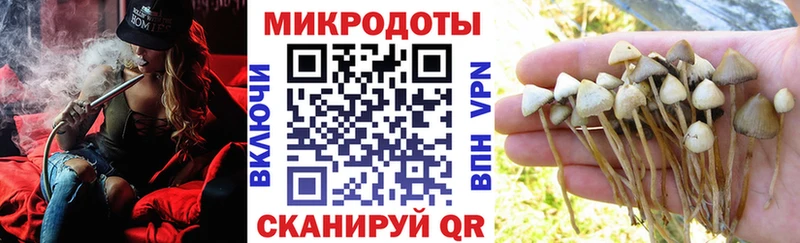 Псилоцибиновые грибы прущие грибы  Аркадак 